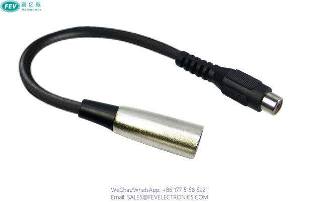 FEV10-1032