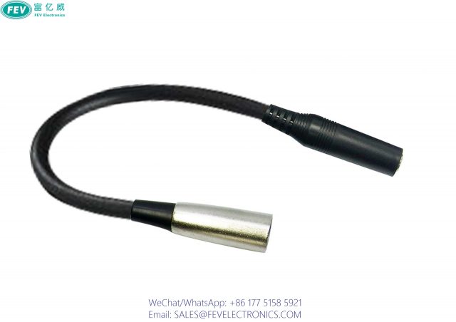 FEV10-1033